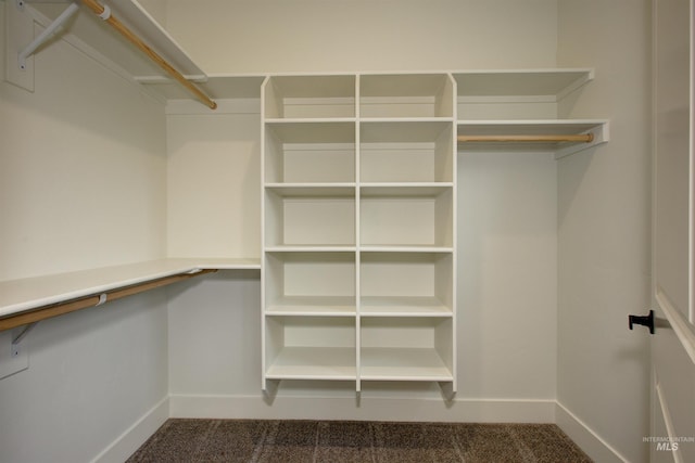 spacious closet with carpet floors