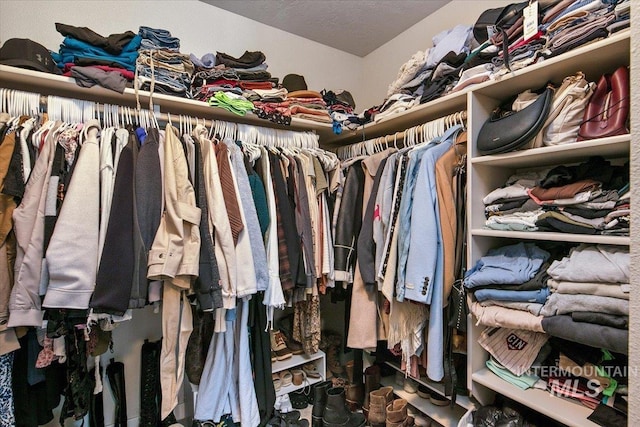 3732 E Rock Falls St, Nampa, ID 83686 - view of spacious closet