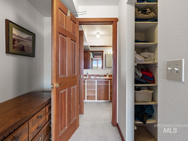 interior space featuring light colored carpet and sink