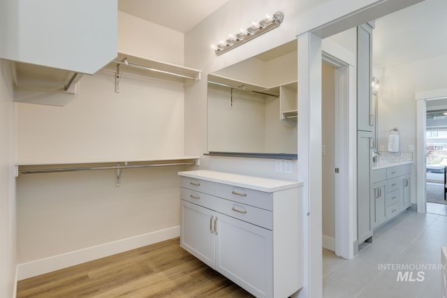 12039 N 19th Ave, Boise, ID 83714 - view of spacious closet