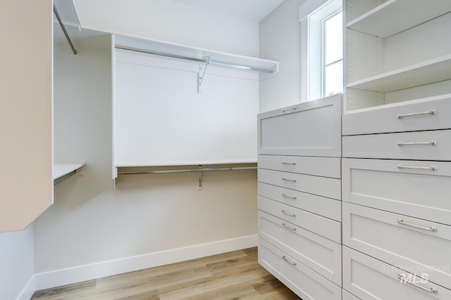 12039 N 19th Ave, Boise, ID 83714 - spacious closet featuring light wood-style flooring