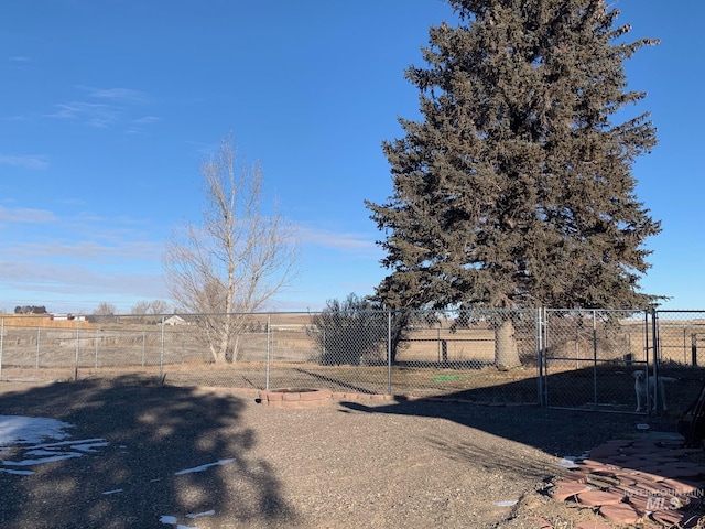 view of yard featuring a rural view