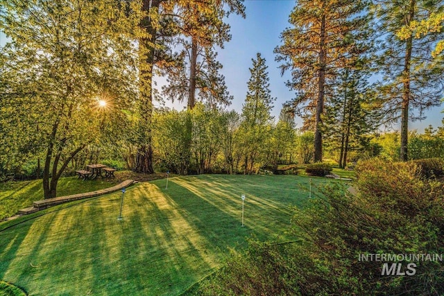 3872 Brookside Dr, New Meadows, ID 83654 - view of green lawn with a putting green