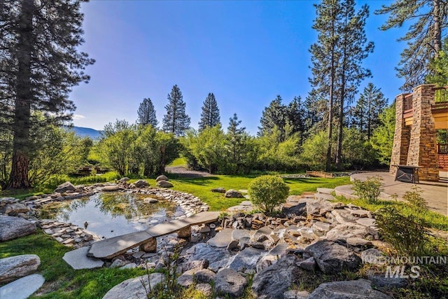3872 Brookside Dr, New Meadows, ID 83654 - view of yard with a small pond