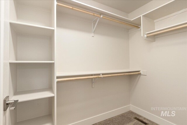4112 W Cherrytree Ct, Meridian, ID 83642 - walk in closet featuring carpet floors
