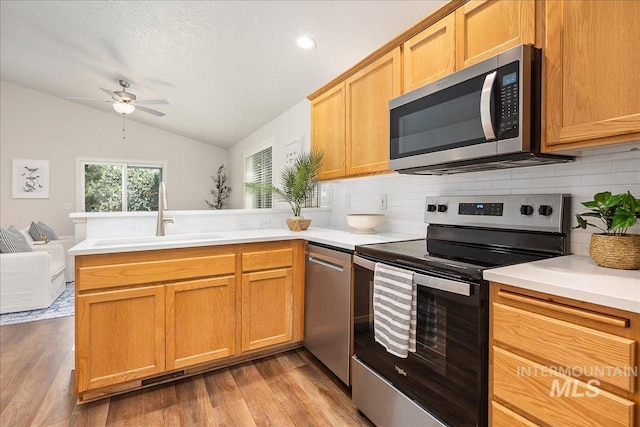 4112 W Cherrytree Ct, Meridian, ID 83642 - kitchen featuring appliances with stainless steel finishes, a sink, a peninsula, lofted ceiling, and tasteful backsplash