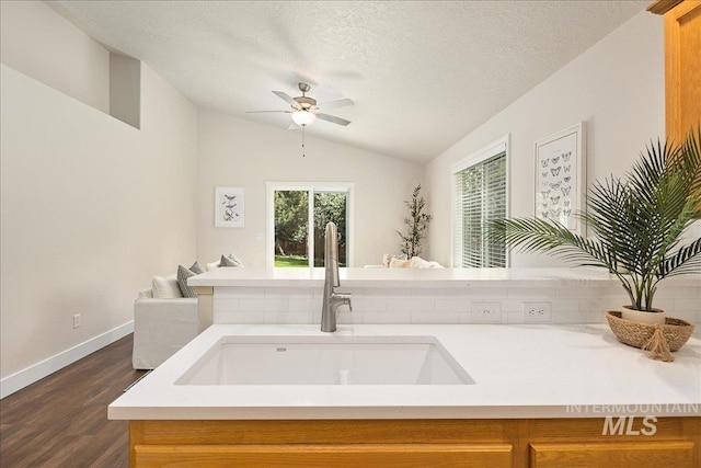 4112 W Cherrytree Ct, Meridian, ID 83642 - kitchen with a sink, vaulted ceiling, dark wood finished floors, ceiling fan, and light countertops