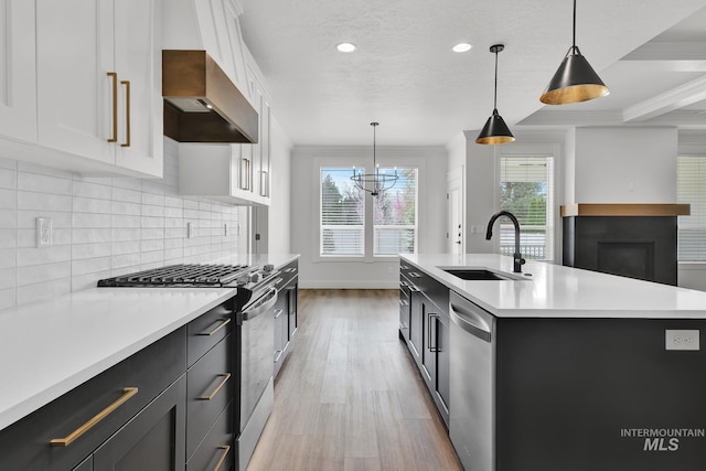 1440 E Azan St, Meridian, ID 83646 - kitchen with wall chimney exhaust hood, tasteful backsplash, light countertops, a sink, and stainless steel appliances