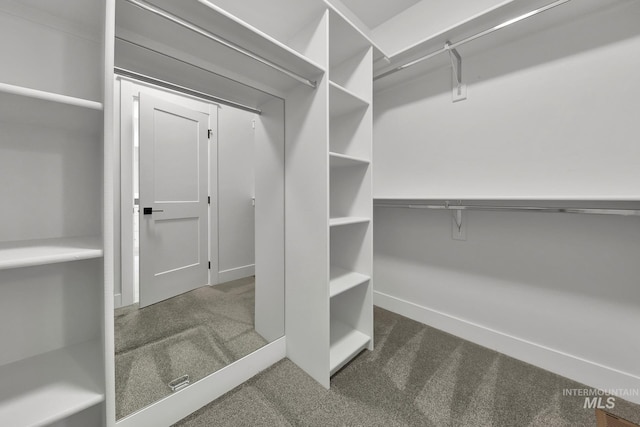 1440 E Azan St, Meridian, ID 83646 - walk in closet with carpet flooring