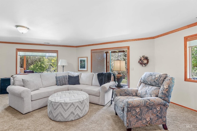 carpeted living area featuring ornamental molding and baseboards