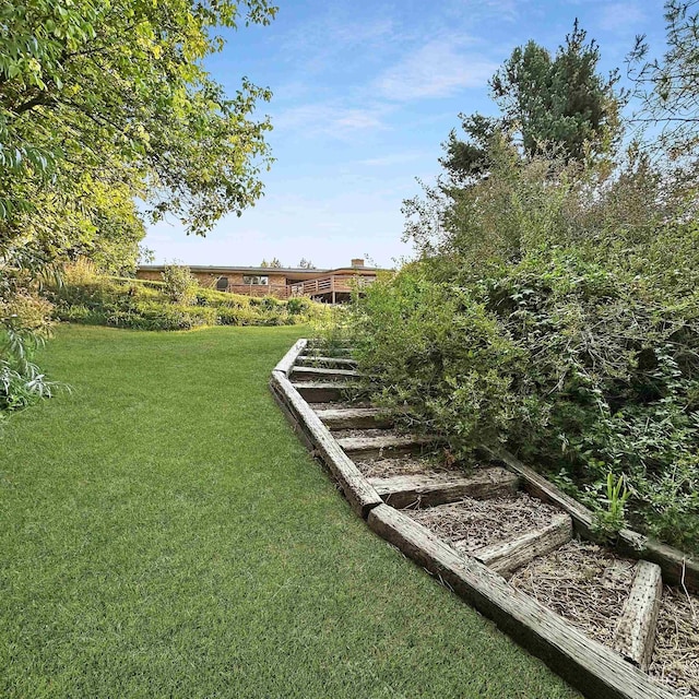 view of yard with a vegetable garden