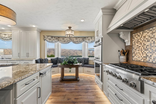 kitchen featuring dark wood-type flooring, custom exhaust hood, stainless steel appliances, tasteful backsplash, and white cabinets