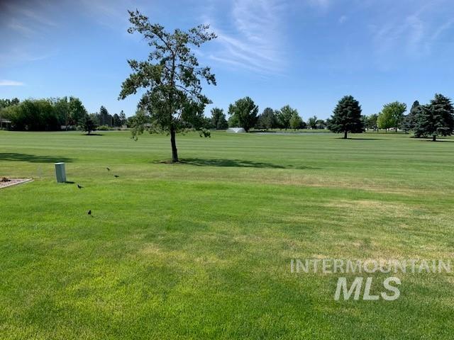 3997 W Harbor Point Dr, Meridian, ID 83646 - view of home's community with a yard