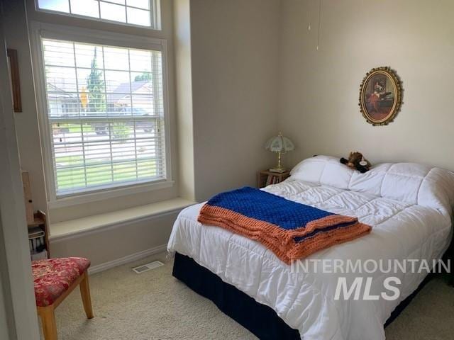 3997 W Harbor Point Dr, Meridian, ID 83646 - carpeted bedroom featuring multiple windows and baseboards