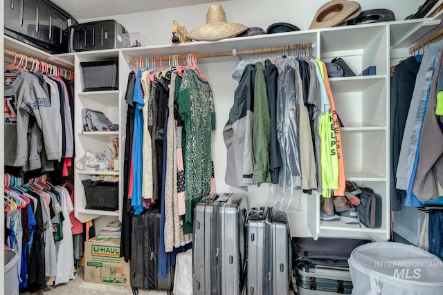 walk in closet with carpet