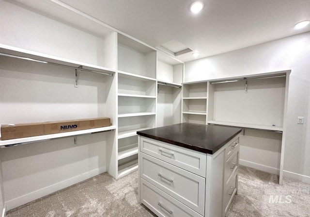 spacious closet with light colored carpet