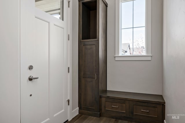 mudroom with dark hardwood / wood-style floors