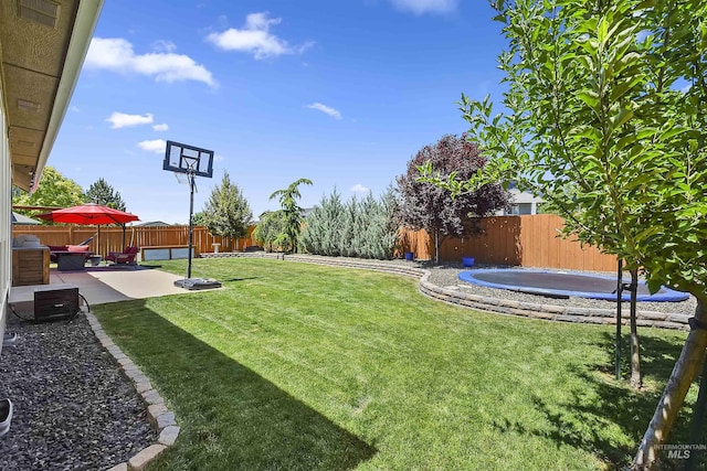 view of yard with a trampoline and a patio area