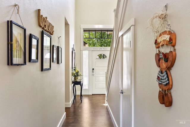 entrance foyer with a towering ceiling and dark wood-type flooring