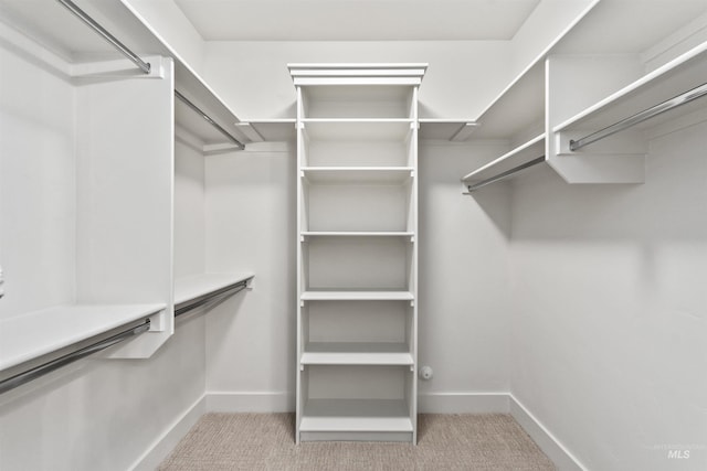 spacious closet with carpet floors