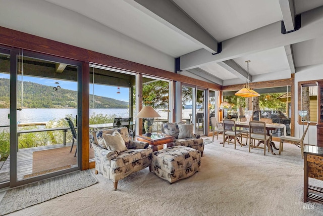 4076 Warren Wagon Rd, Mccall, ID 83638 - sunroom with a water view and carpet flooring