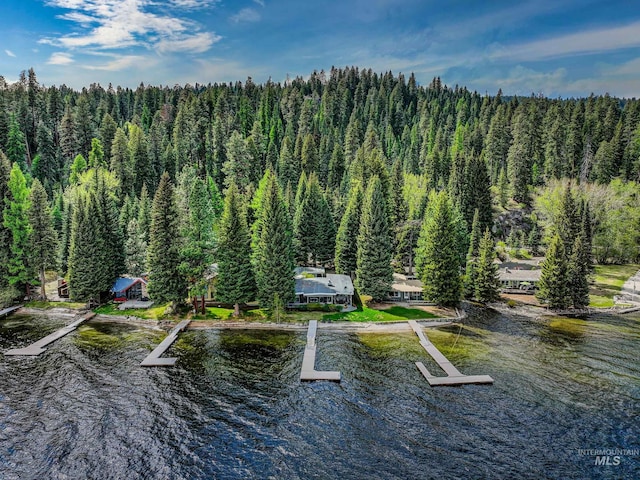 4076 Warren Wagon Rd, Mccall, ID 83638 - view from above of property with a heavily wooded area and a large body of water