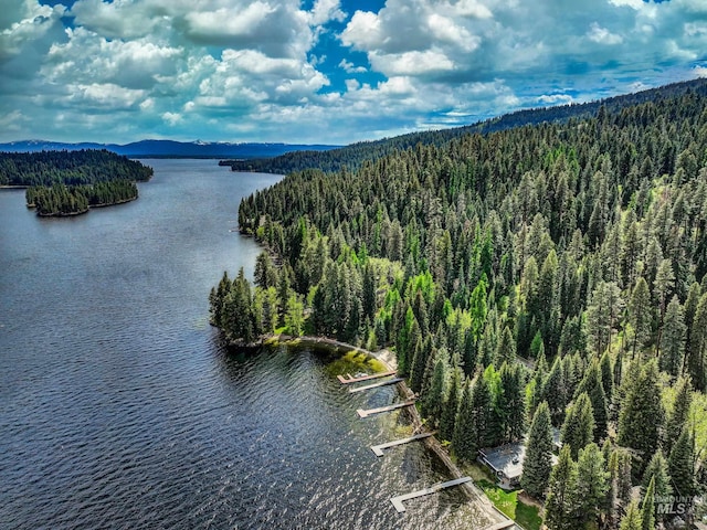 4076 Warren Wagon Rd, Mccall, ID 83638 - bird's eye view of a forest and a water and mountain view