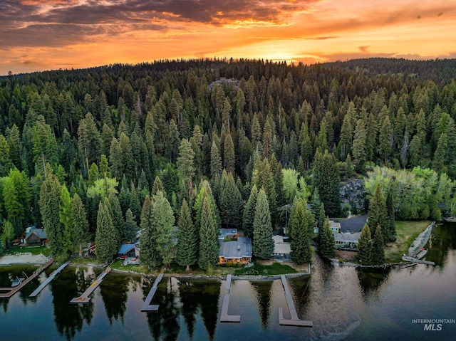 4076 Warren Wagon Rd, Mccall, ID 83638 - bird's eye view of a forest and a large body of water