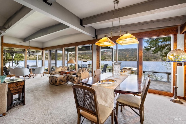 4076 Warren Wagon Rd, Mccall, ID 83638 - carpeted dining room featuring plenty of natural light and a water view