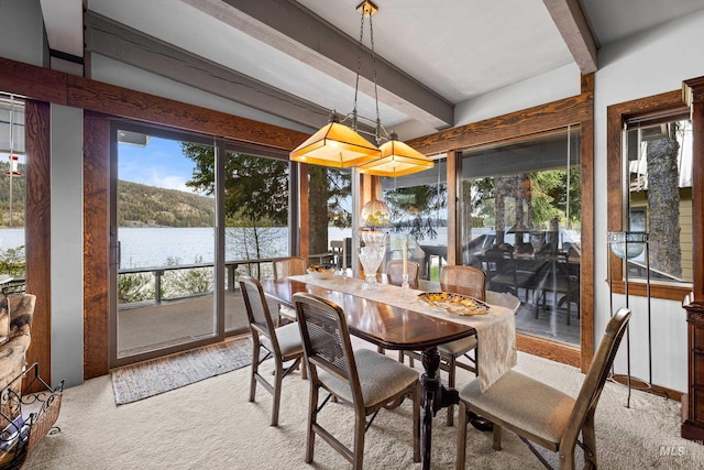 4076 Warren Wagon Rd, Mccall, ID 83638 - dining space with beam ceiling, a water view, and light colored carpet
