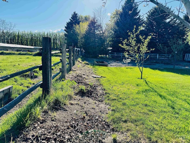 view of yard featuring a view of rural / pastoral area