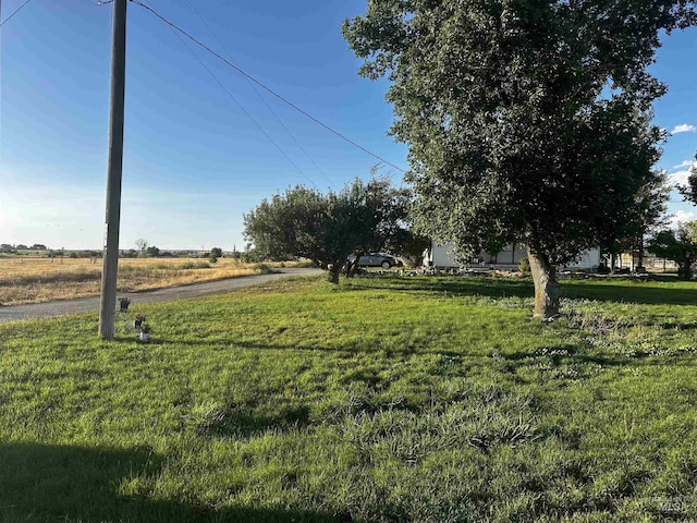 view of yard featuring a rural view