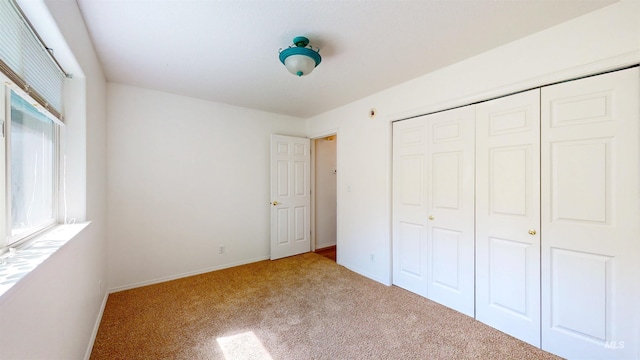 278 Trotter Dr, Twin Falls, ID 83301 - unfurnished bedroom with carpet floors and a closet