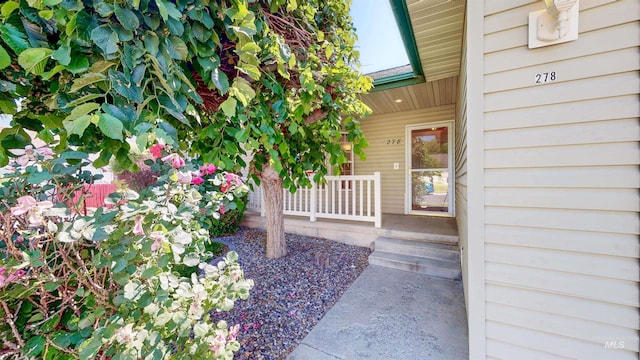 278 Trotter Dr, Twin Falls, ID 83301 - view of exterior entry with covered porch