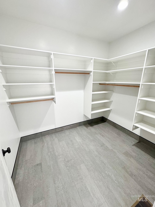 spacious closet with hardwood / wood-style flooring