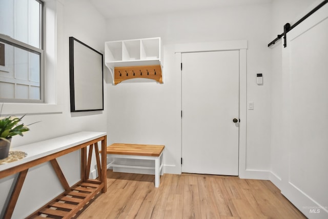 entryway featuring light wood-type flooring, a barn door, and a healthy amount of sunlight