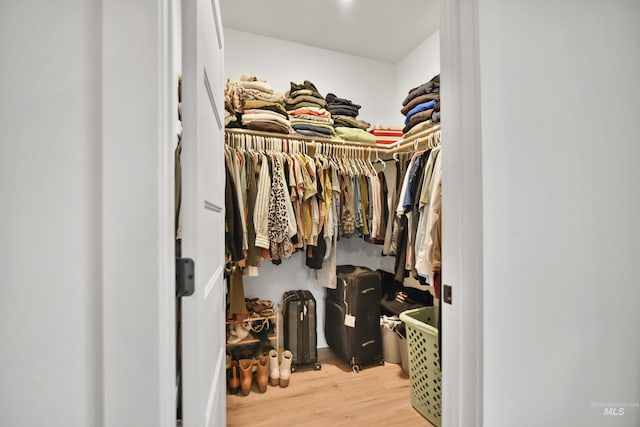 spacious closet with wood-type flooring