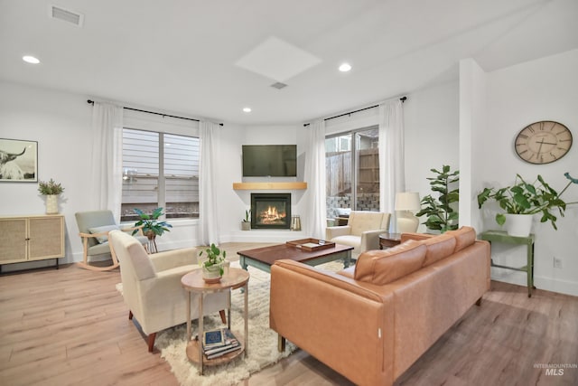 living room featuring light hardwood / wood-style flooring