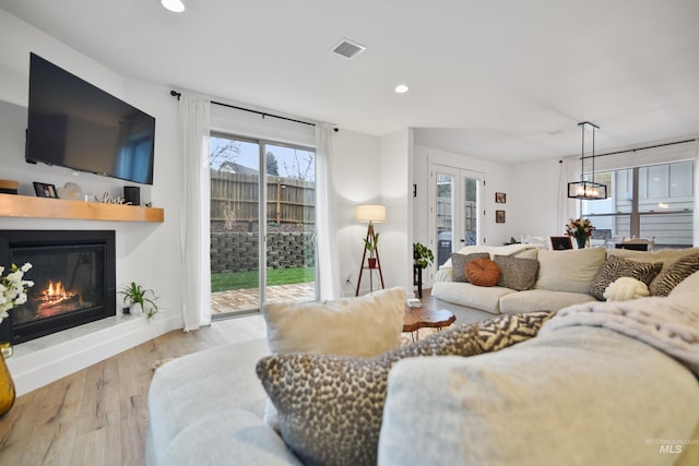 living room with light hardwood / wood-style floors and a wealth of natural light