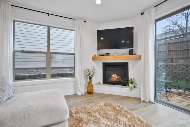 living area featuring a healthy amount of sunlight and light hardwood / wood-style floors