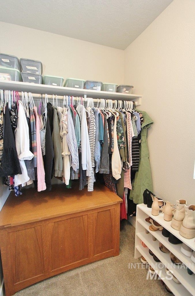 10382 Scout Ridge St, Nampa, ID 83687 - walk in closet with light colored carpet