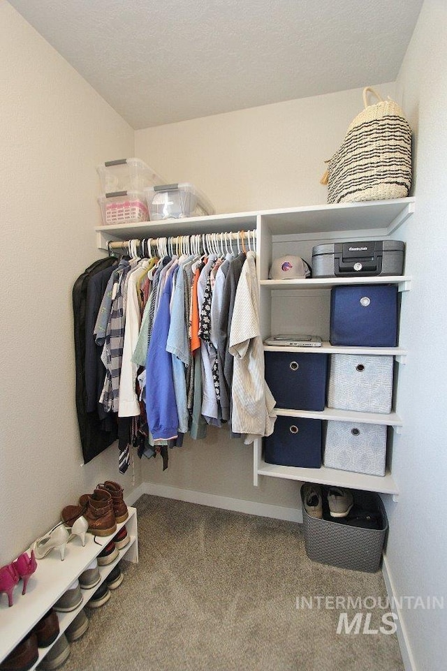 10382 Scout Ridge St, Nampa, ID 83687 - spacious closet with carpet