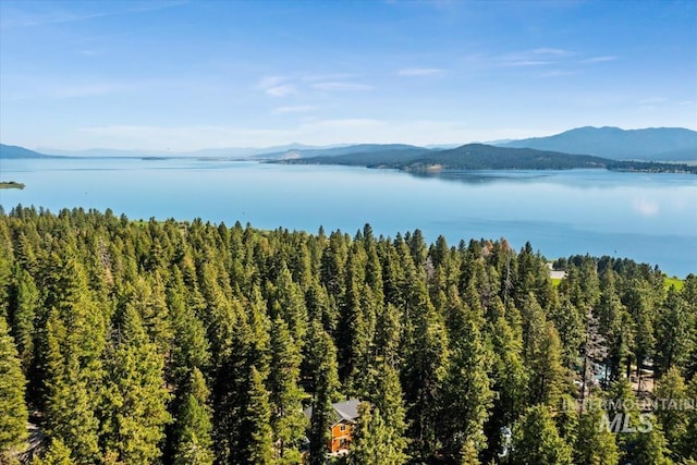 23 Waterline Ln, Cascade, ID 83611 - water view featuring a mountain backdrop