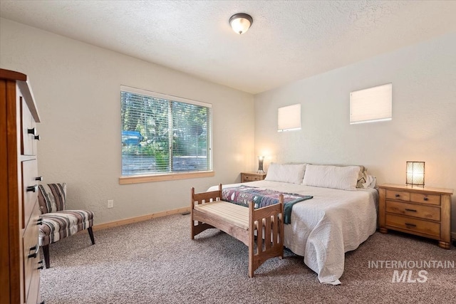 23 Waterline Ln, Cascade, ID 83611 - bedroom with carpet floors and a textured ceiling