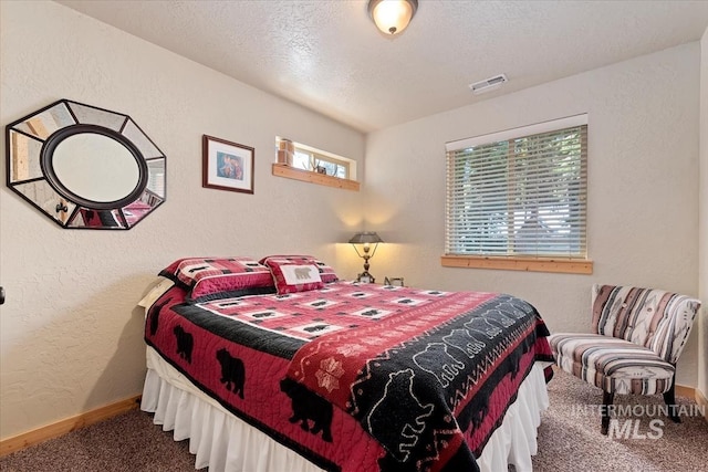23 Waterline Ln, Cascade, ID 83611 - bedroom with carpet, a textured wall, and a textured ceiling