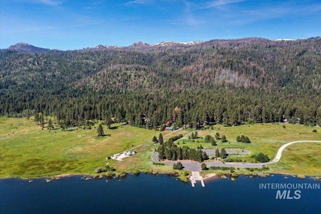 23 Waterline Ln, Cascade, ID 83611 - view of property location with a forest and a water and mountain view