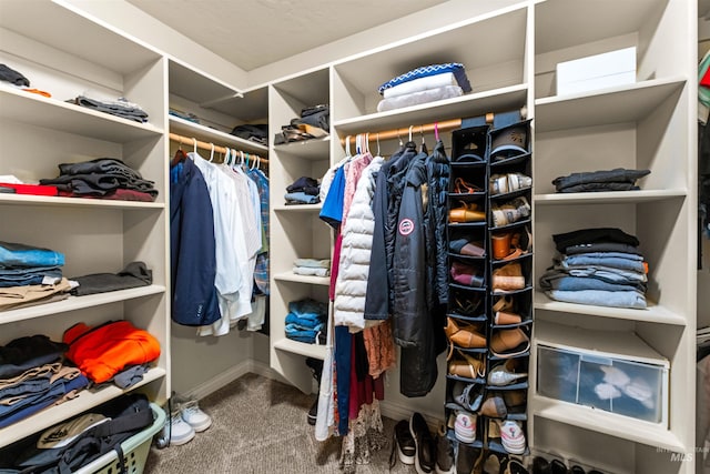 spacious closet with carpet flooring