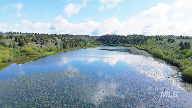 1555 Sadorus Hill Rd, Ashton, ID 83420