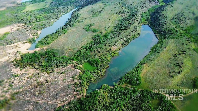 1555 Sadorus Hill Rd, Ashton, ID 83420
