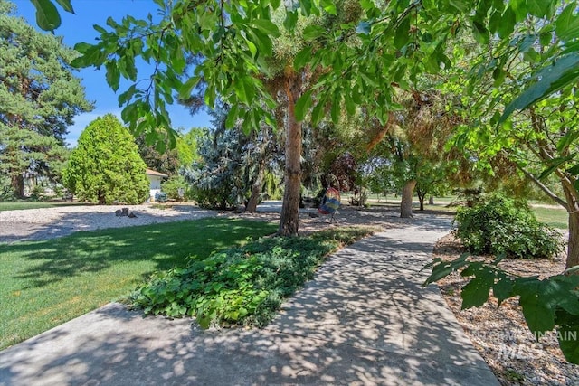 surrounding community with a yard